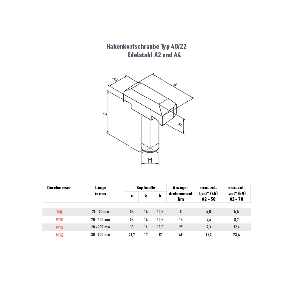 Hakenkopfschraube 40/22 - M8 x 25 mm - 46ZN
