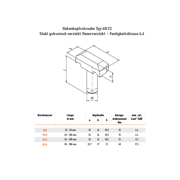 Hakenkopfschraube 40/22 - M8 x 25 mm - 46ZN