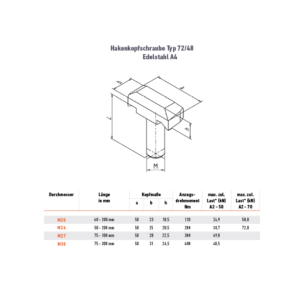 Hakenkopfschraube 72/48 - M20 x 40 mm - 46ZN